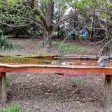 photo 2021-04-14 17-58-52