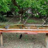 photo 2021-05-06 14-19-18