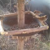 photo 2019-02-27 07-59-57