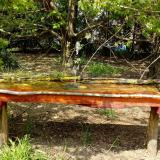 photo 2021-04-25 14-05-39