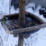 photo 2019-01-07 08-07-26