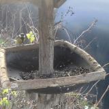 photo 2019-12-24 08-29-39