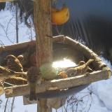 photo 2019-01-27 10-06-18