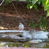 photo 2021-08-07 18-46-14 kaja