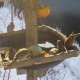 photo 2019-01-27 09-13-30