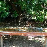 photo 2021-09-06 11-10-47