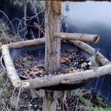 photo 2019-01-02 07-32-10