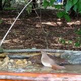 photo 2021-09-07 15-24-35 fulemule