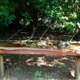 photo 2021-07-23 10-45-28