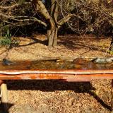 photo 2021-10-27 11-01-29