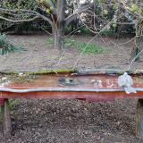 photo 2021-04-09 18-34-14