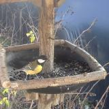 photo 2019-12-26 12-36-15