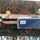 photo 2021-02-12 11-00-54