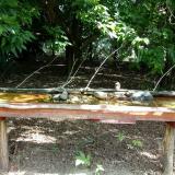 photo 2021-07-26 09-55-15