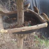 photo 2019-02-15 13-11-56