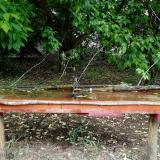 photo 2021-05-16 11-29-15