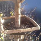 photo 2019-12-25 14-23-09