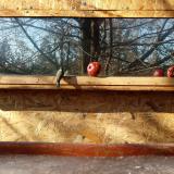 photo 2022-01-15 11-39-15