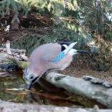 photo 2023-10-22 16-06-58