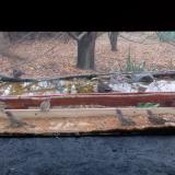 photo 2021-11-22 09-35-49