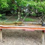 photo 2021-05-01 10-01-58