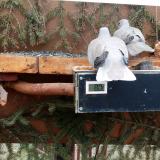 photo 2021-03-05 08-20-38