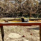 photo 2021-03-13 09-24-05