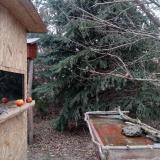 photo 2021-12-27 10-25-55