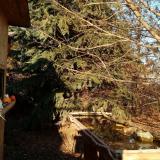 photo 2021-12-14 13-51-07