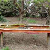 photo 2021-04-12 16-26-09