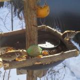 photo 2019-01-27 09-41-30