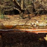 photo 2021-10-27 14-09-22