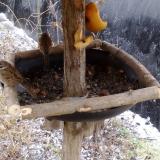 photo 2019-02-05 09-23-44