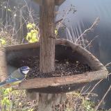 photo 2019-12-22 12-40-05