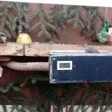 photo 2021-02-07 15-10-31