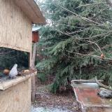 photo 2021-12-28 12-13-41