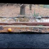 photo 2021-11-07 13-27-43