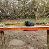 photo 2021-03-12 14-55-28