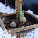 photo 2019-01-11 13-21-35