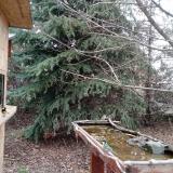 photo 2021-12-12 11-46-24