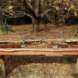 photo 2021-10-22 14-01-52