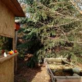 photo 2021-12-18 13-41-54