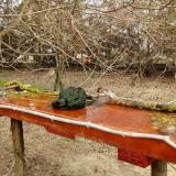 photo 2021-03-23 11-28-56