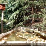 photo 2023-10-17 13-11-11