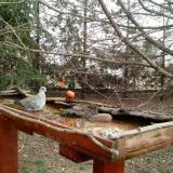 photo 2022-03-17 10-13-17