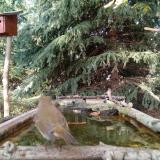 photo 2023-10-11 15-45-06 3