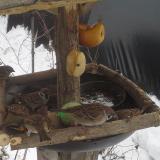 photo 2019-01-27 13-19-02