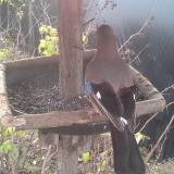 photo 2019-12-19 09-17-50