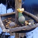 photo 2019-01-14 11-35-50