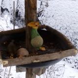 photo 2019-01-20 10-12-38